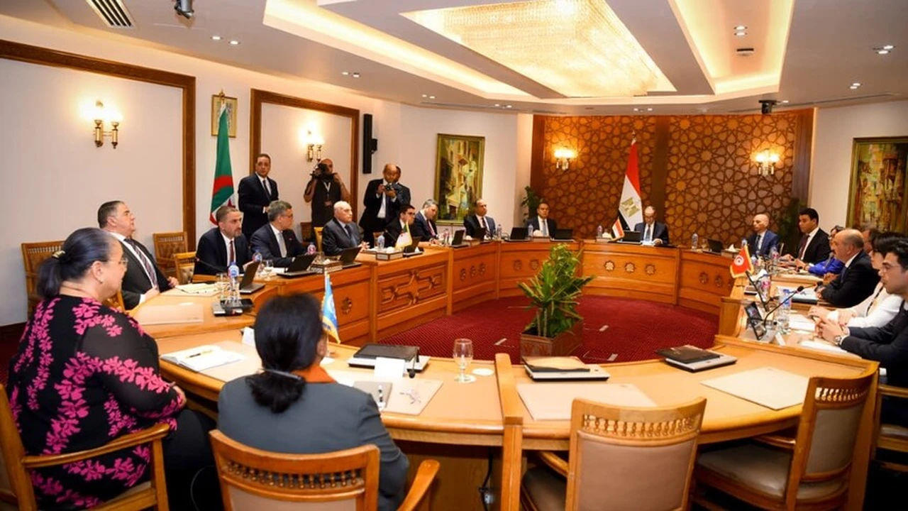 الأمم المتحدة تثني على جهود مصر وتونس والجزائر في دعم ليبيا
